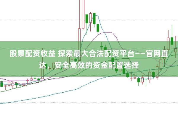 股票配资收益 探索最大合法配资平台——官网直达，安全高效的资金配置选择