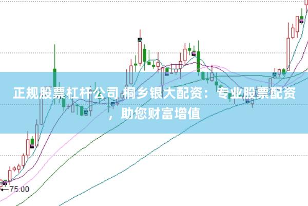 正规股票杠杆公司 桐乡银大配资：专业股票配资，助您财富增值