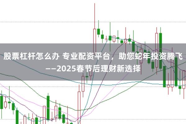 股票杠杆怎么办 专业配资平台，助您蛇年投资腾飞——2025春节后理财新选择