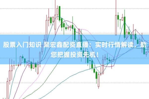 股票入门知识 聚宏鑫配资直播：实时行情解读，助您把握投资先机！