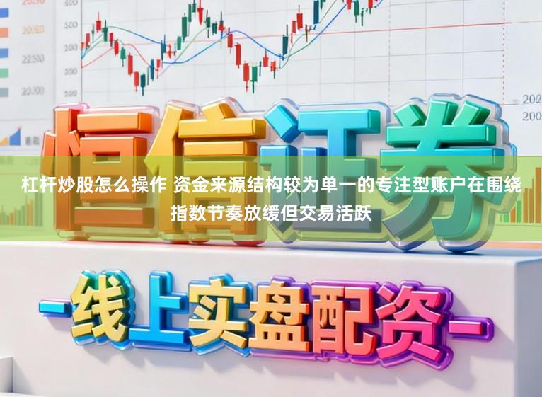 杠杆炒股怎么操作 资金来源结构较为单一的专注型账户在围绕指数节奏放缓但交易活跃