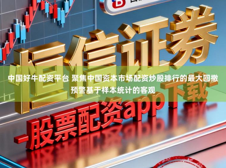 中国好牛配资平台 聚焦中国资本市场配资炒股排行的最大回撤预警基于样本统计的客观