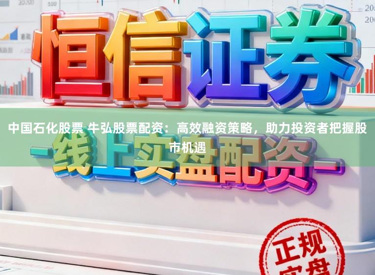 中国石化股票 牛弘股票配资：高效融资策略，助力投资者把握股市机遇